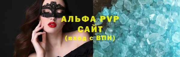 сатива Карпинск