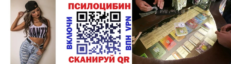Псилоцибиновые грибы Psilocybine cubensis  сколько стоит  Краснозаводск 